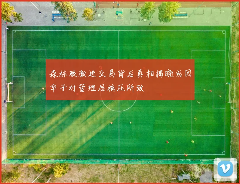 森林狼激进交易背后真相揭晓或因华子对管理层施压所致